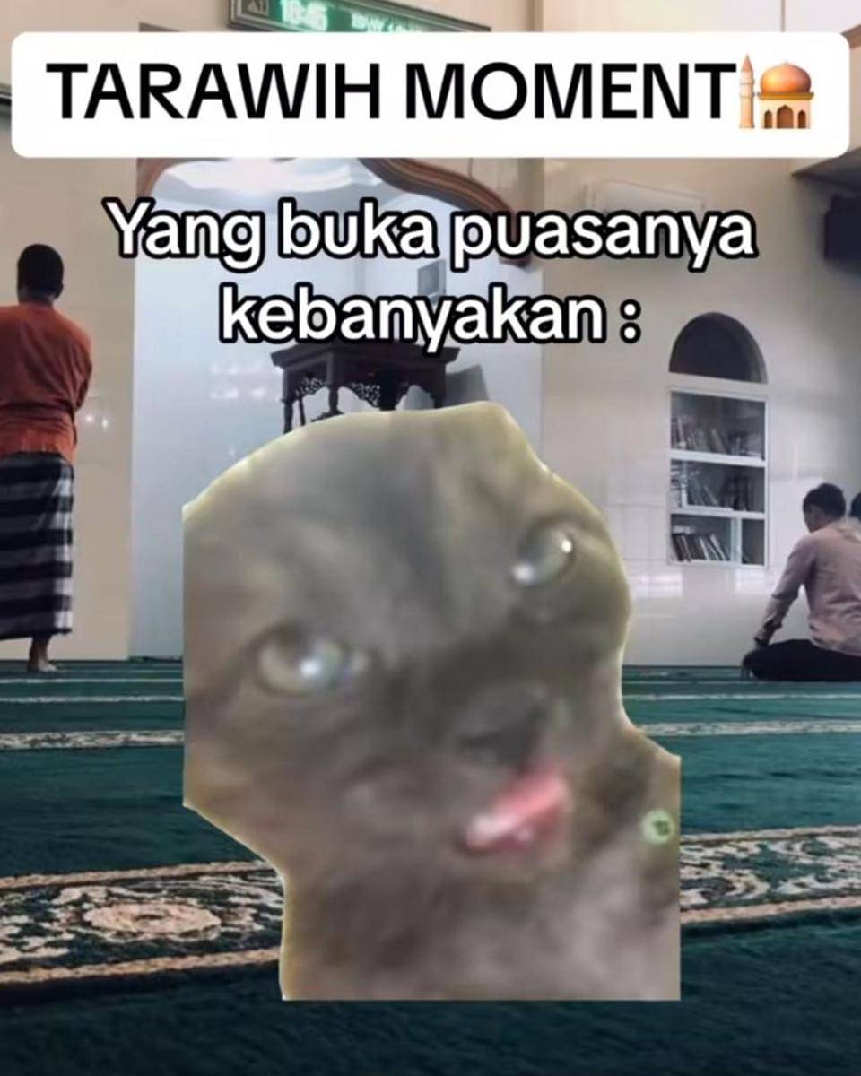 Instagram.com/memekucingofficial